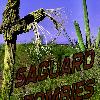 Saguaro Zombies:  Previously dead saguaros have become reanimated and are stalking the living saguaros in Saguaro National Park.  Run while you can!  